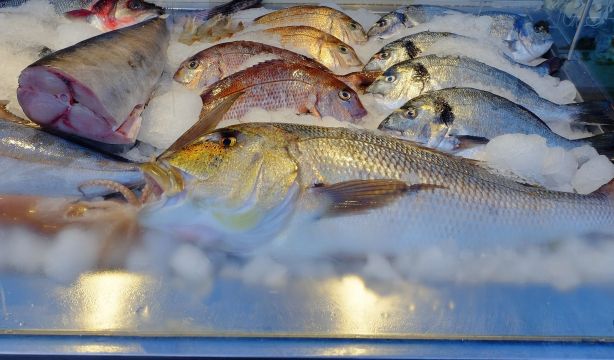 bigstock pescado fresco