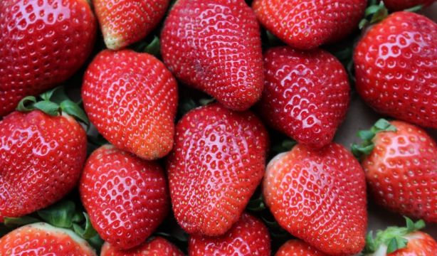 El método de un experto para eliminar los pesticidas de las fresas
