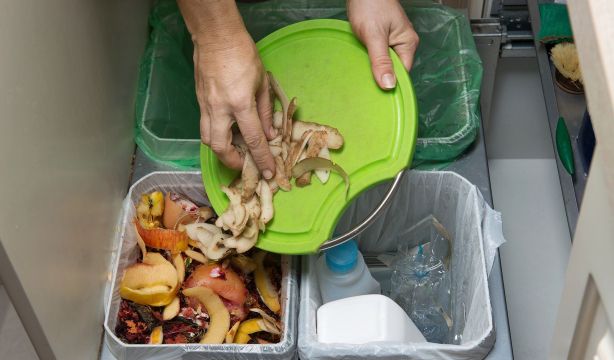 Modificar los hábitos alimentarios reduciría en un 35% el impacto ambiental, según estudio