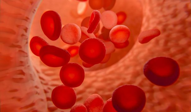 La edad deja de ser una barrera para la terapia de cánceres sanguíneos