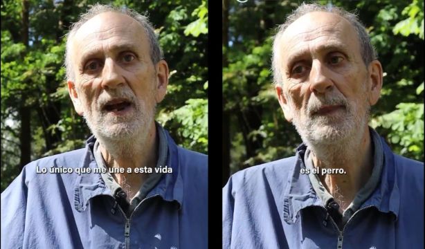 Piden que las residencias de mayores permitan animales: "No deberían separarlos en sus últimos años"