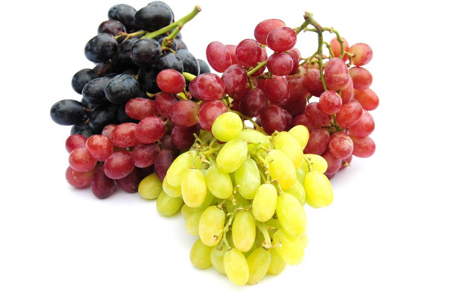 Las uvas ayudan a mantener la salud muscular. Bigstock Las uvas ayudan a mantener la salud muscular. Bigstock
