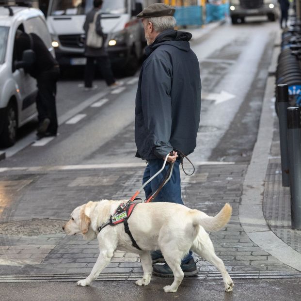 Una persona con discapacidad visual camina acompañada por un perro guía. Fuente: Eduardo Parra / Europa Press Una persona con discapacidad visual camina acompañada por un perro guía. Fuente: Eduardo Parra / Europa Press
