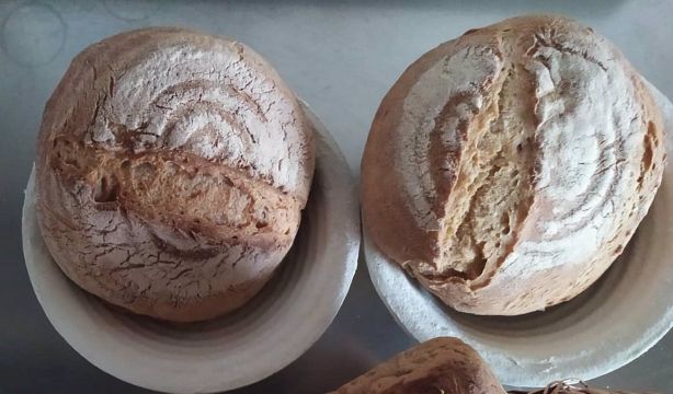 El Gobierno rebaja el IVA de los panes especiales y sin gluten al 4% tras una sentencia del Supremo