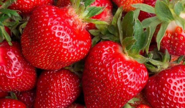 Es temporada de fresas: cuatro recetas para disfrutar de esta fruta (Bigstock)