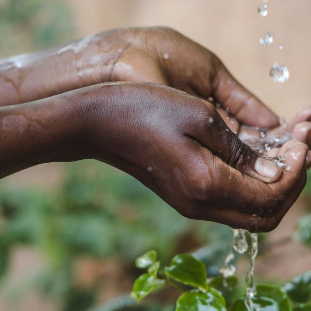 Debemos seguir en alerta por el virus del Ébola