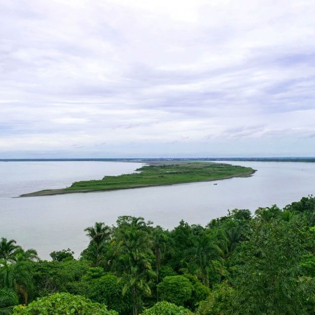 El cantante Sting cumple 68 años convertido en todo un activista medioambiental El cantante Sting cumple 68 años convertido en todo un activista medioambiental