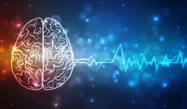 Los 8 pasos esenciales para proteger la salud cerebral  (Bigstock)