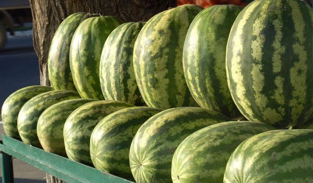Madrid estudia cómo aprovechar restos de sandías y melones para hacer lácteos saludables