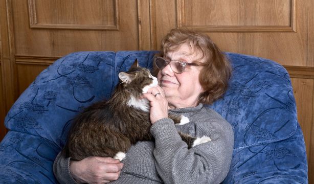 ¿Se puede ser padre de una mascota?