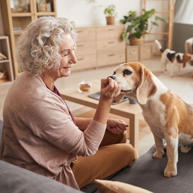 bigstock Warm Toned Portrait Of Smiling 382195955
