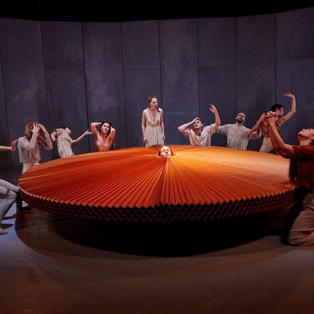 EuropaPress 6591133 mongrel marina mascarell EuropaPress 6591133 mongrel marina mascarell