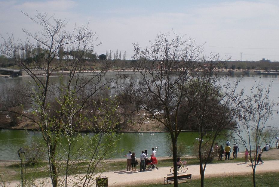 Parque de la Polvoranca Parque de la Polvoranca