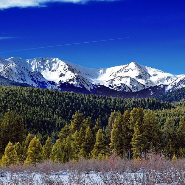 bigstock Winter Mountains And Forest In 1411613