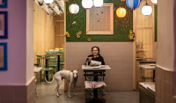 Guía Repsol presenta 270 nuevos Soletes donde las mascotas son bienvenidas