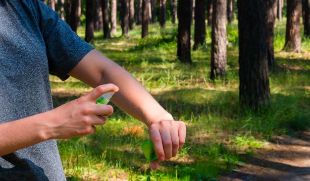 El "truco de la abuela" para eliminar moscas y mosquitos de nuestros hogares