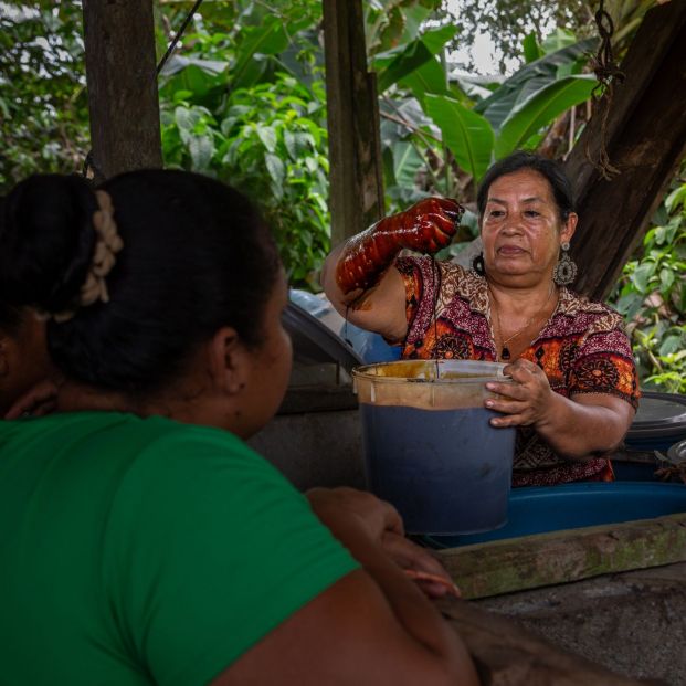 Los mayores de 55 años, protagonistas del emprendimiento en España y Latinoamérica (Fundación Microfinanzas BBVA) Los mayores de 55 años, protagonistas del emprendimiento en España y Latinoamérica (Fundación Microfinanzas BBVA)