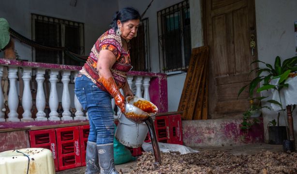 Los mayores de 55 años, protagonistas del emprendimiento en España y Latinoamérica (Fundación Microfinanzas BBVA)