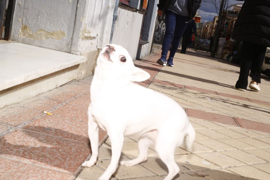 EuropaPress. Vuelve Documenta Madrid este mes de mayo en 6 espacios de la capital EuropaPress. Vuelve Documenta Madrid este mes de mayo en 6 espacios de la capital