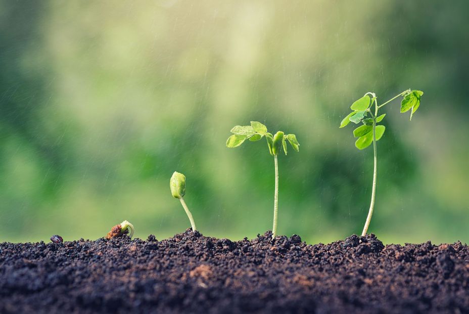 bigstock156013553 bigstock156013553