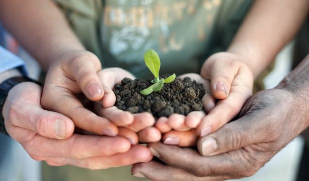 Primer paso para la comunicación entre plantas y personas