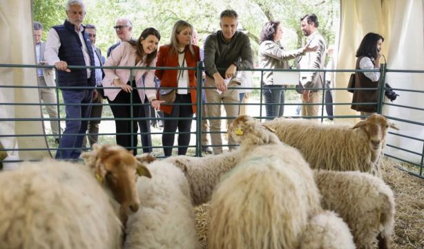 "Pocas capitales europeas tienen la suerte de Madrid de tener campo a pocos kilómetros de su centro"