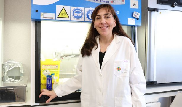 Estudian un posible aliado contra el envejecimiento y el desarrollo tumoral