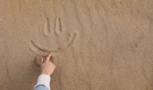 ¿Dónde está el secreto de la felicidad?