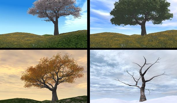 Demuestran que la tolerancia al alcohol y la eficacia de medicamentos varían según la estación