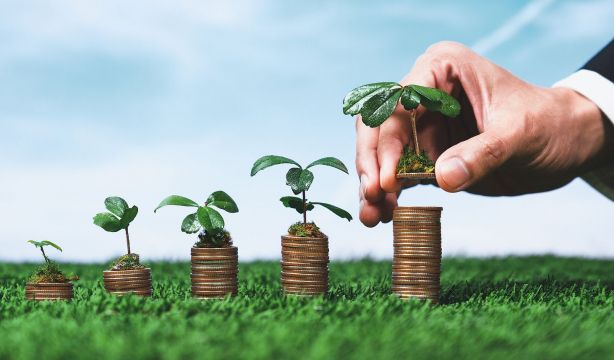 Lo sostenible pierde adeptos