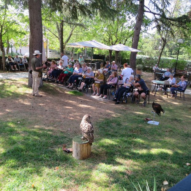 Orpea TAA Aves rapaces. Orpea TAA Aves rapaces.