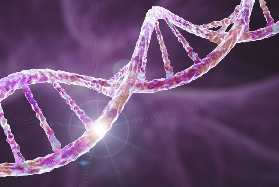 Los científicos han identificado 200 genes que tienen que ver con la neurodegeneración. Los científicos han identificado 200 genes que tienen que ver con la neurodegeneración.