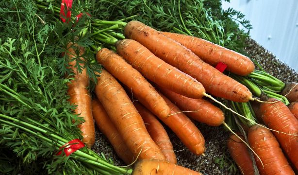 Así influye la alimentación en la vista: los nutrientes imprescindibles (Bigstock)