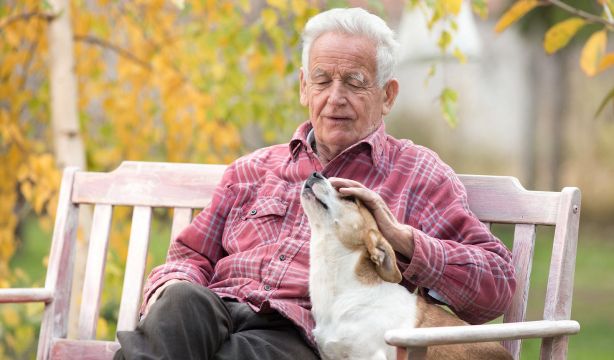 ¿Cómo proteger a tu mascota en el testamento?