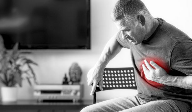 Identifican una proteína capaz de preservar la funcionalidad del corazón