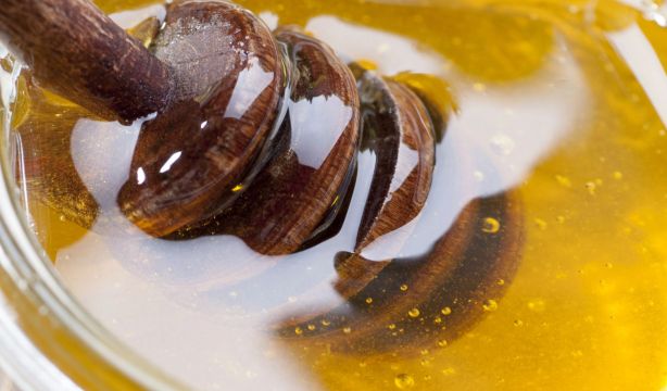Tras la pista de la mejor miel de la Comunidad de Madrid: trazamos la ruta más dulce