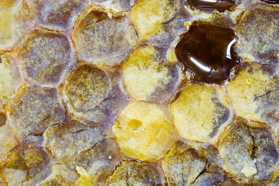 Tras la pista de la mejor miel de la Comunidad de Madrid: trazamos la ruta más dulce