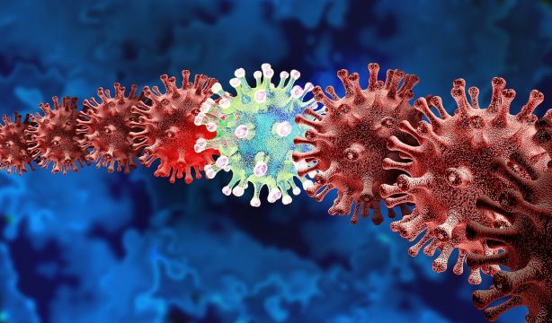 NB.1.8.1, la nueva variante de Covid bajo la lupa de la OMS: esto es lo que se sabe hasta el momento
