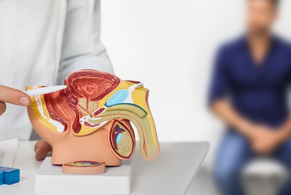 Un urólogo hablando con su paciente sobre la enfermedad y las opciones terapéuticas. (Bigstock)