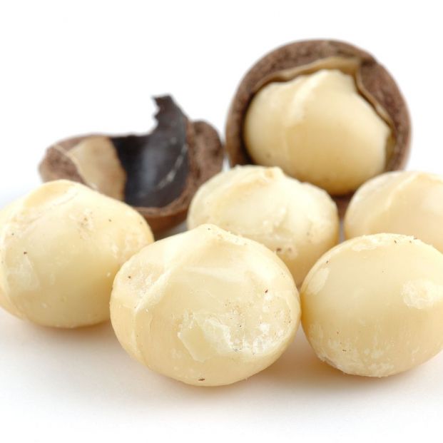 bigstock Macadamia Nuts 2694623 bigstock Macadamia Nuts 2694623