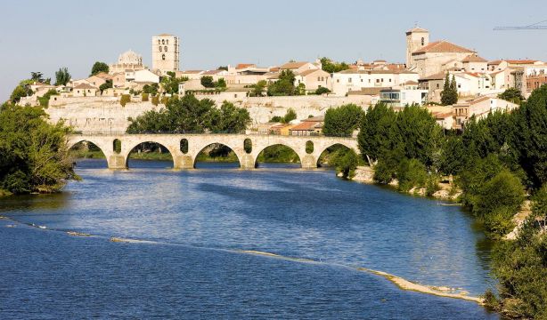 Zamora, referente europeo para la generación silver