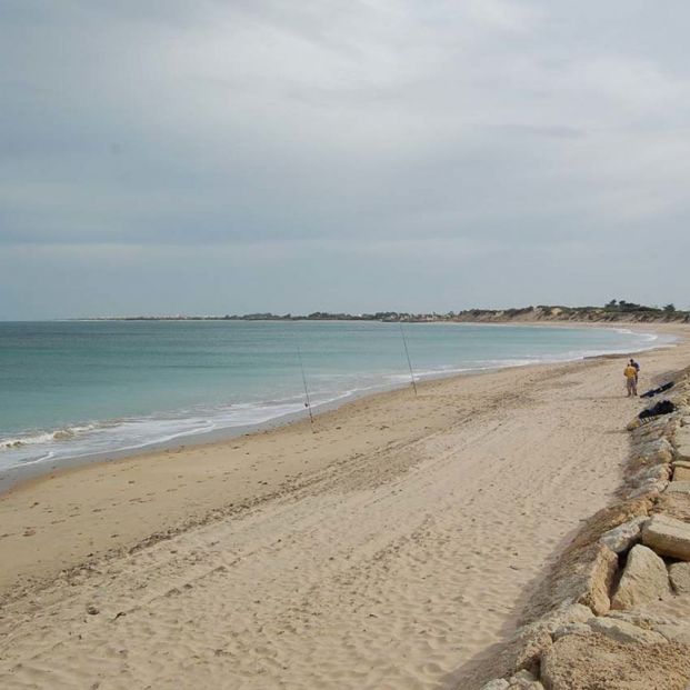 Playa de Punta Candor Playa de Punta Candor