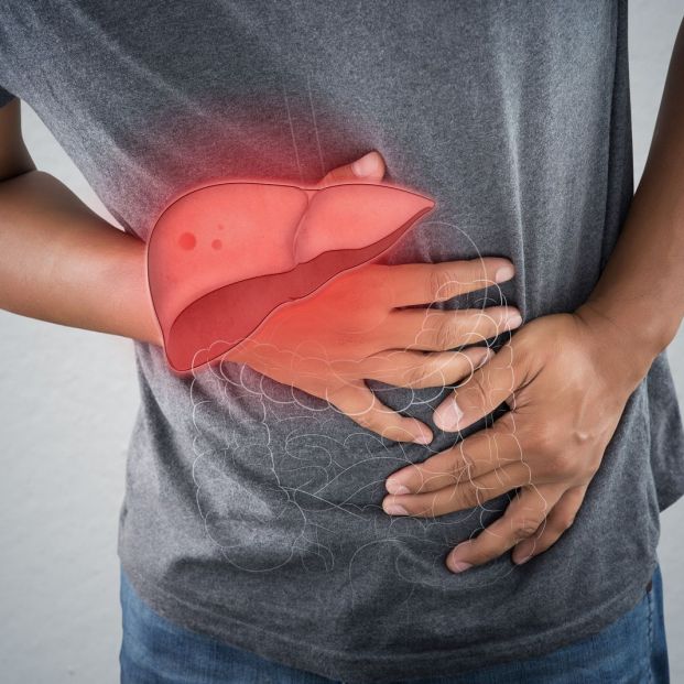 Las transaminasas y el daño hepático Las transaminasas y el daño hepático