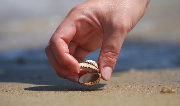 Coger arena o conchas en la playa puede salirte muy caro: todas las multas a las que te enfrentas