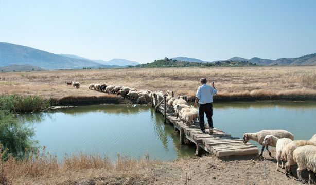 Descubre las rutas históricas de la trashumancia en España