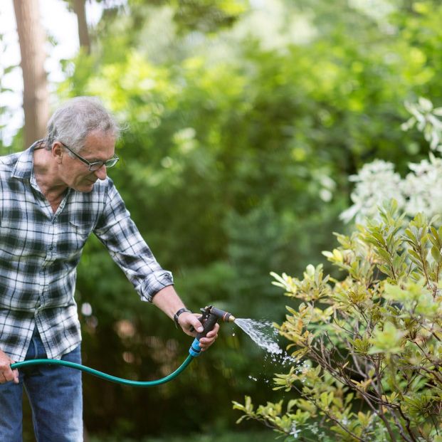 La jardinería: una agradable actividad que es beneficiosa a nivel físico y mental para los mayores La jardinería: una agradable actividad que es beneficiosa a nivel físico y mental para los mayores