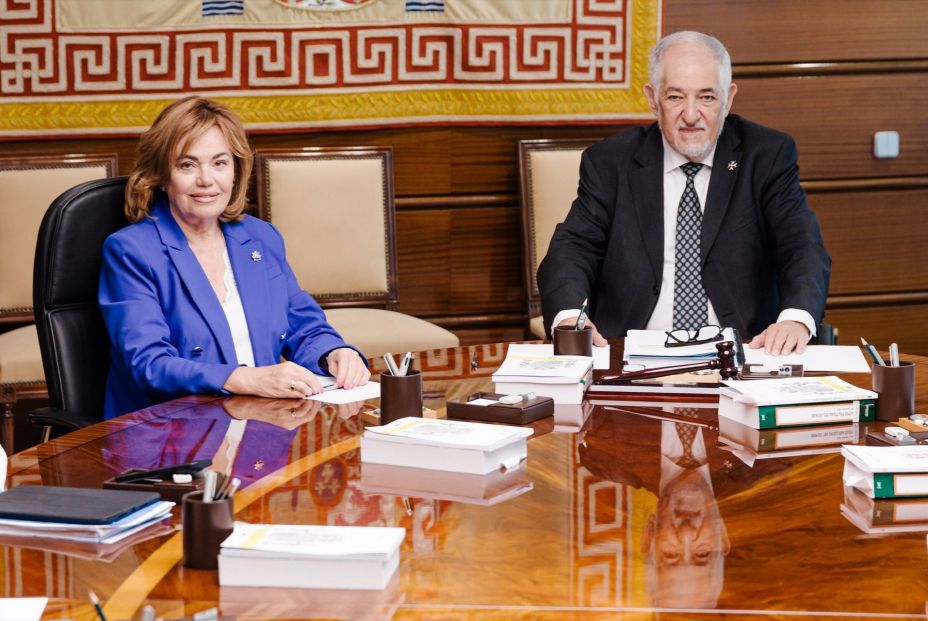 EuropaPress 6816937 presidente tribunal constitucional candido conde pumpido vicepresidenta