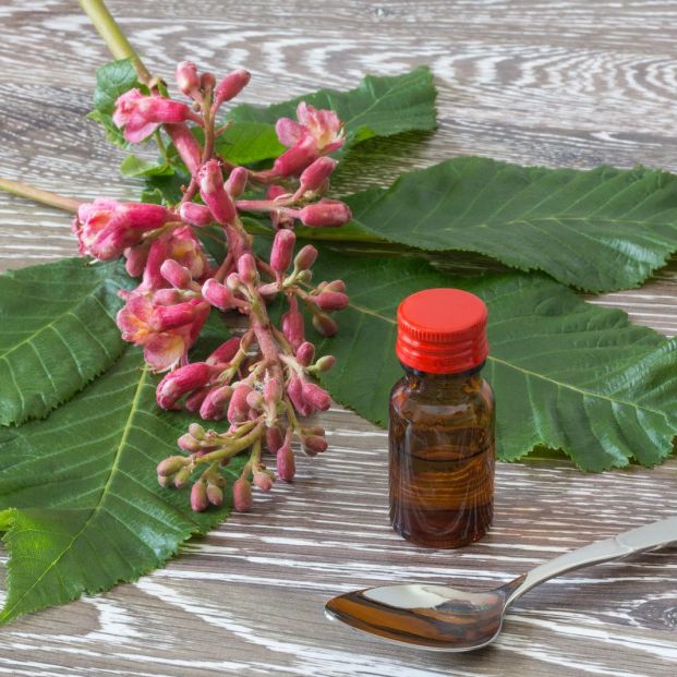 Flores de Bach Flores de Bach