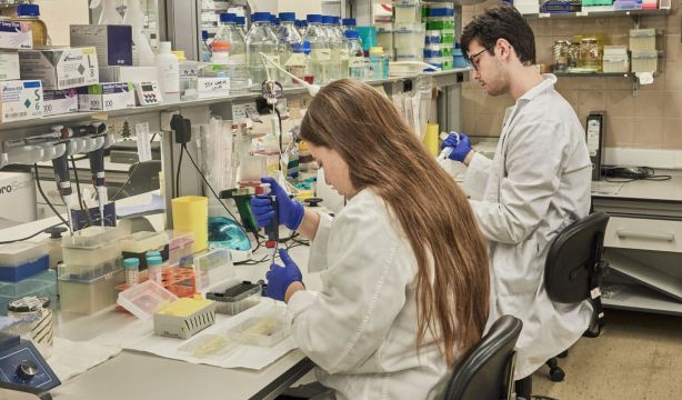 Los jóvenes tendrán que jubilarse a los 71 años para cobrar una pensión similar a la actual