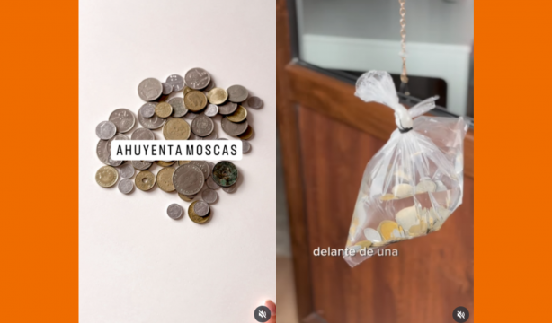 Solo necesitas unas monedas viejas para que las moscas no entren en tu casa: así funciona el truco